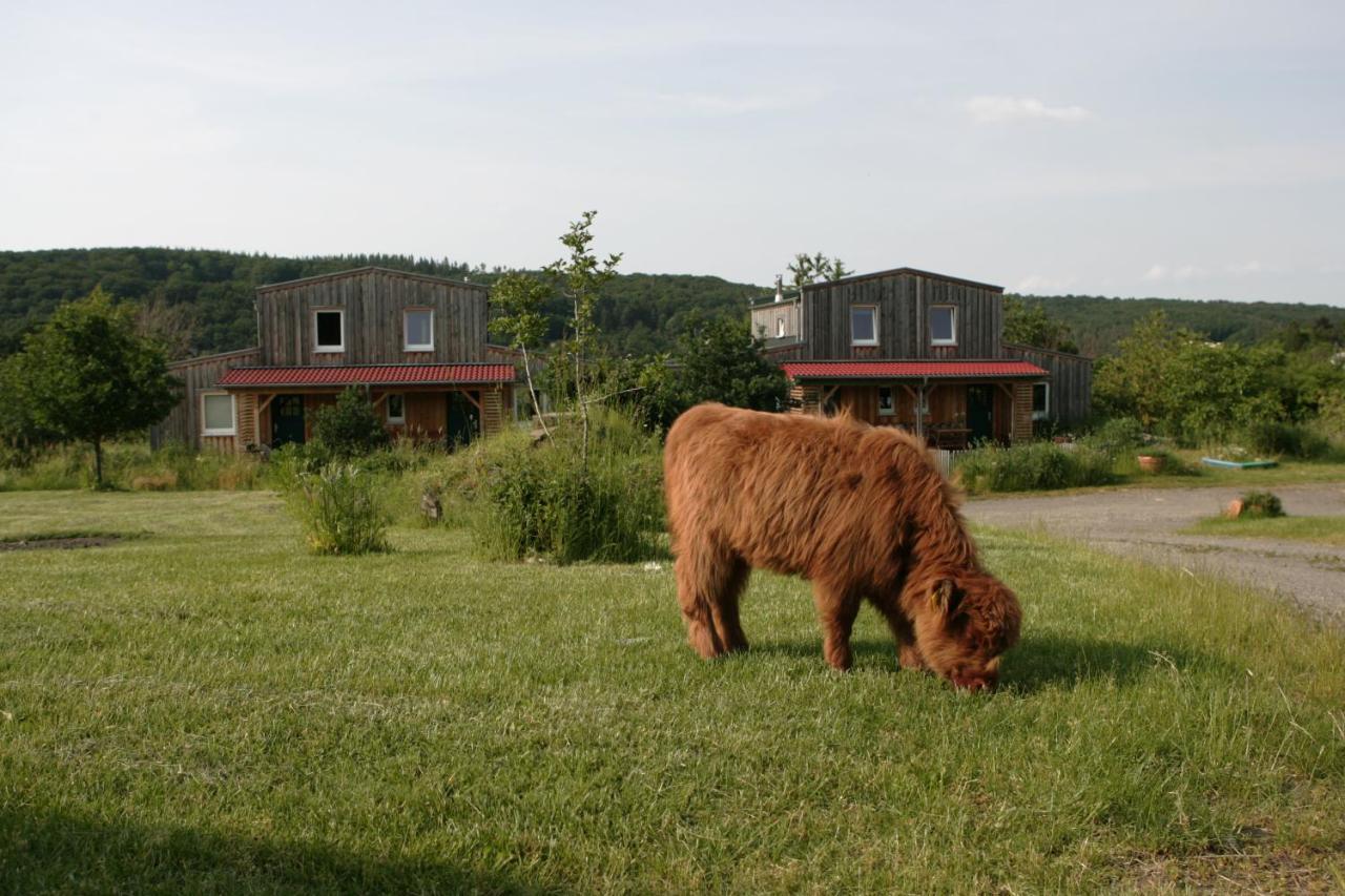 Rech Hof Urlaub Auf Dem Bauernhof Daire Schalkenbach Dış mekan fotoğraf