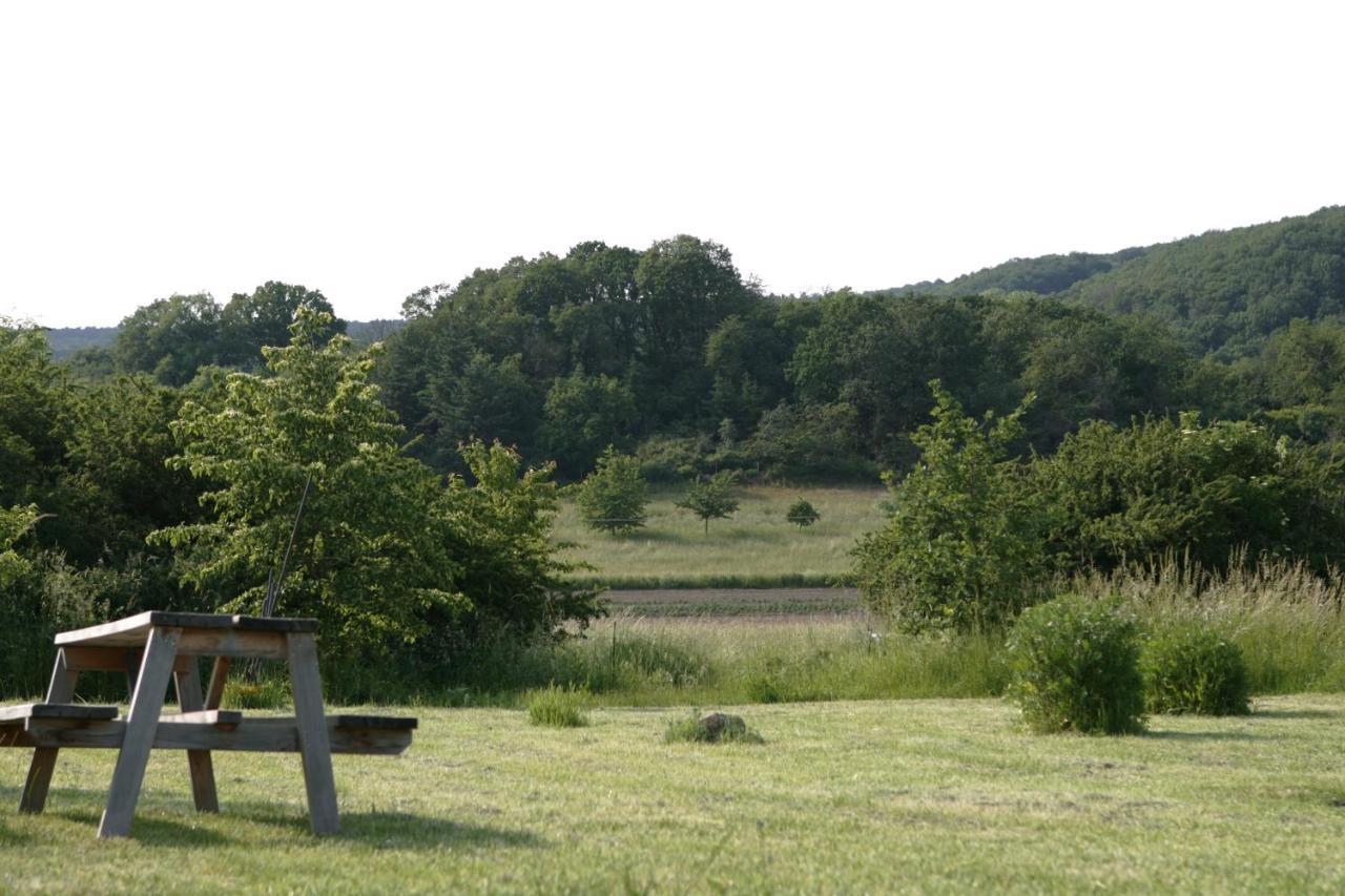 Rech Hof Urlaub Auf Dem Bauernhof Daire Schalkenbach Dış mekan fotoğraf