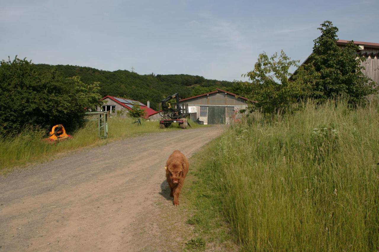 Rech Hof Urlaub Auf Dem Bauernhof Daire Schalkenbach Dış mekan fotoğraf