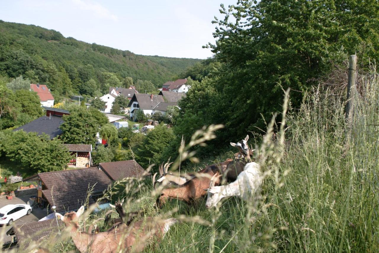 Rech Hof Urlaub Auf Dem Bauernhof Daire Schalkenbach Dış mekan fotoğraf