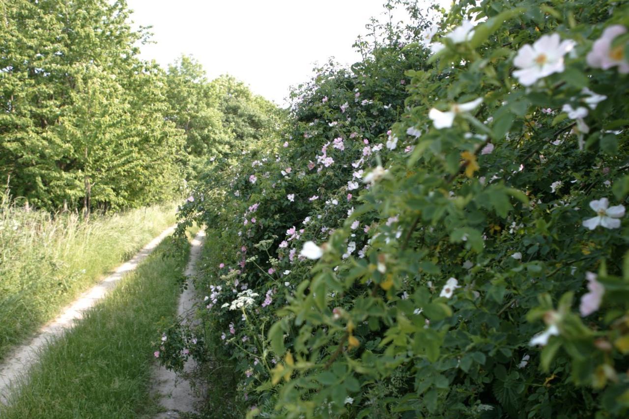 Rech Hof Urlaub Auf Dem Bauernhof Daire Schalkenbach Dış mekan fotoğraf